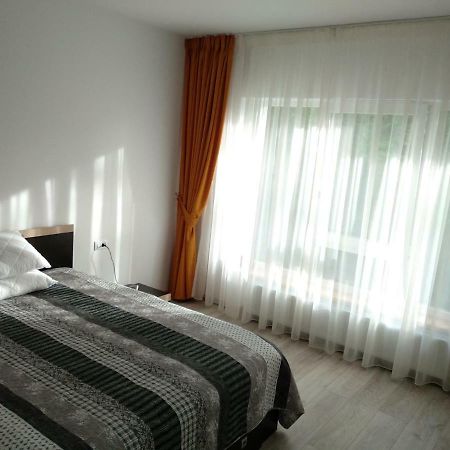 ブラショフApartament Ramonaアパートメント エクステリア 写真