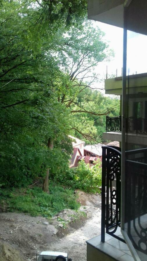ブラショフApartament Ramonaアパートメント エクステリア 写真