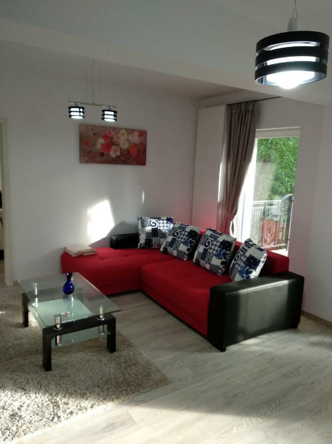 ブラショフApartament Ramonaアパートメント エクステリア 写真