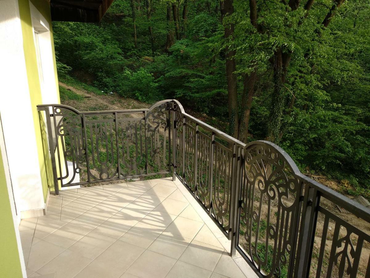 ブラショフApartament Ramonaアパートメント エクステリア 写真