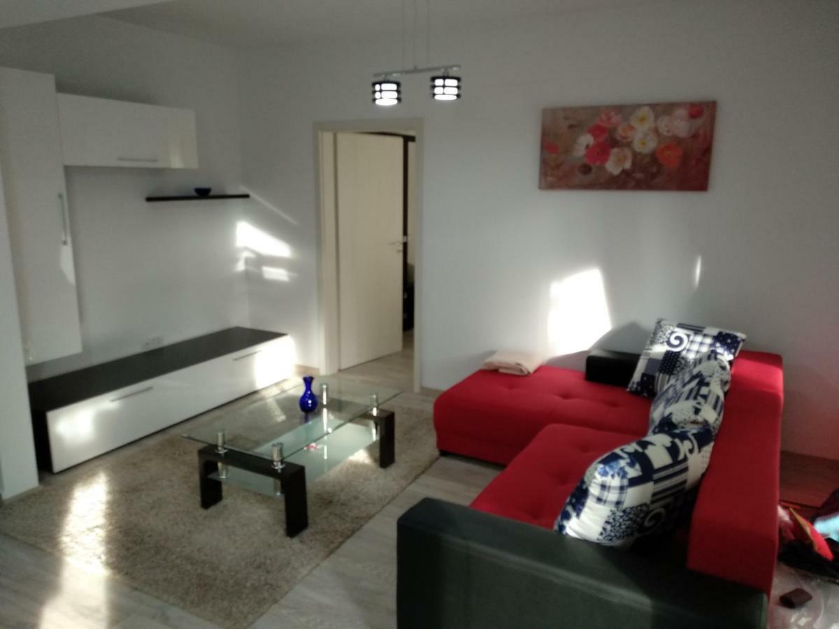 ブラショフApartament Ramonaアパートメント エクステリア 写真