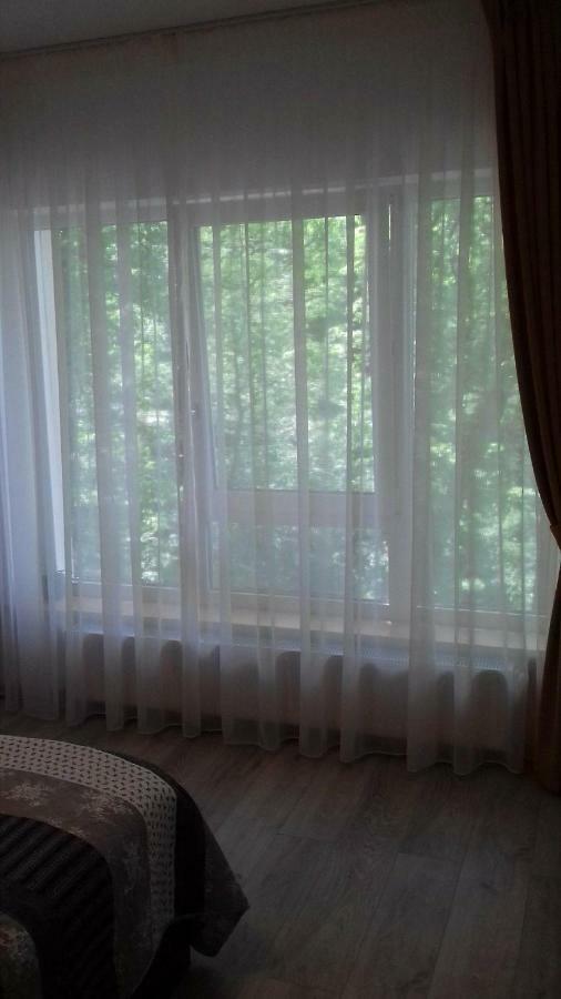 ブラショフApartament Ramonaアパートメント エクステリア 写真
