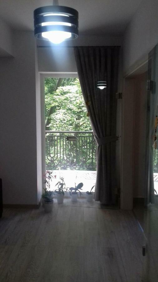 ブラショフApartament Ramonaアパートメント エクステリア 写真